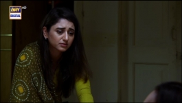 Habs Episode 28 - 15th Nov 2022